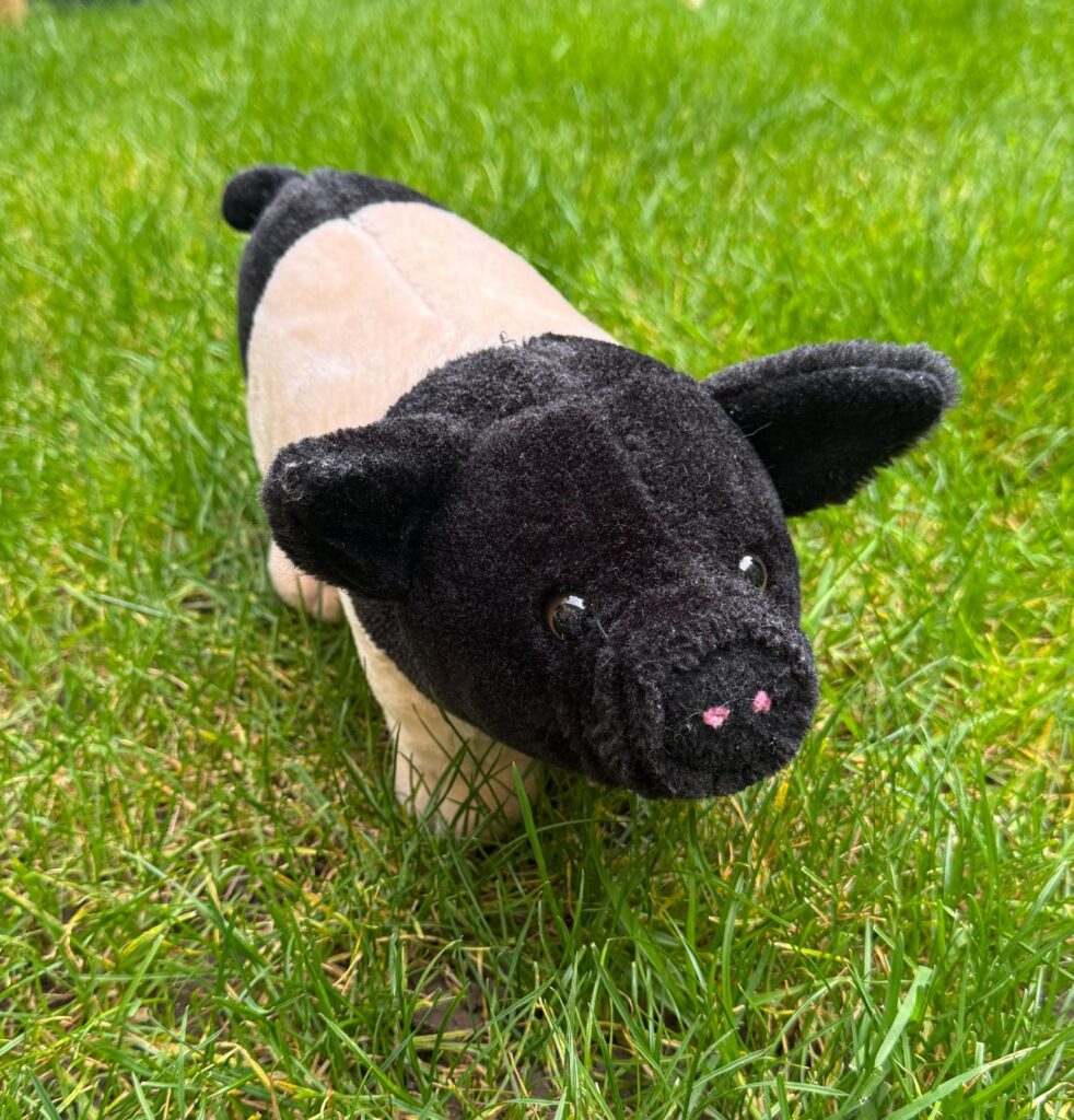 „Und ein Glück ist da“